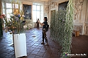 VBS_0158 - Corollaria Flower Exhibition 2022